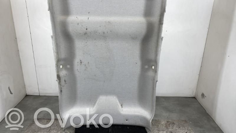 Citroen C4 Cactus Techo 