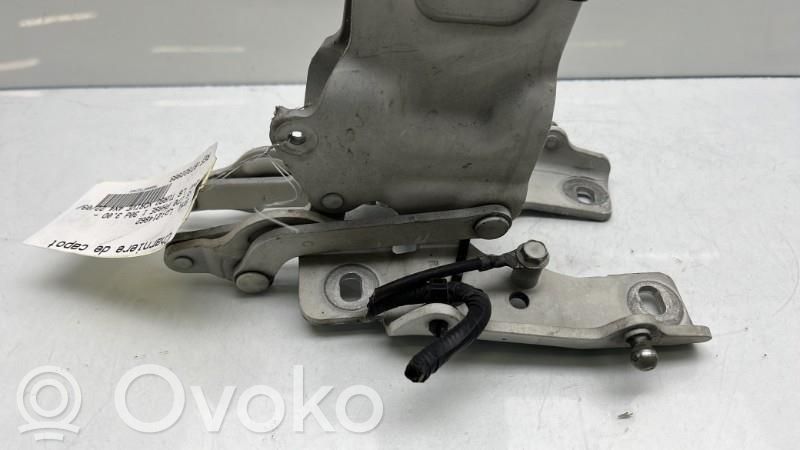 BMW X5 E70 Cerniere del vano motore/cofano 