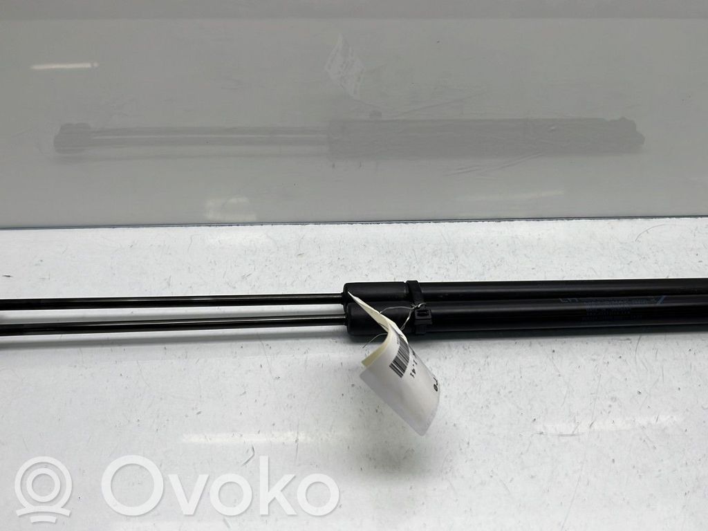 Fiat Tipo Tailgate/trunk strut/damper 