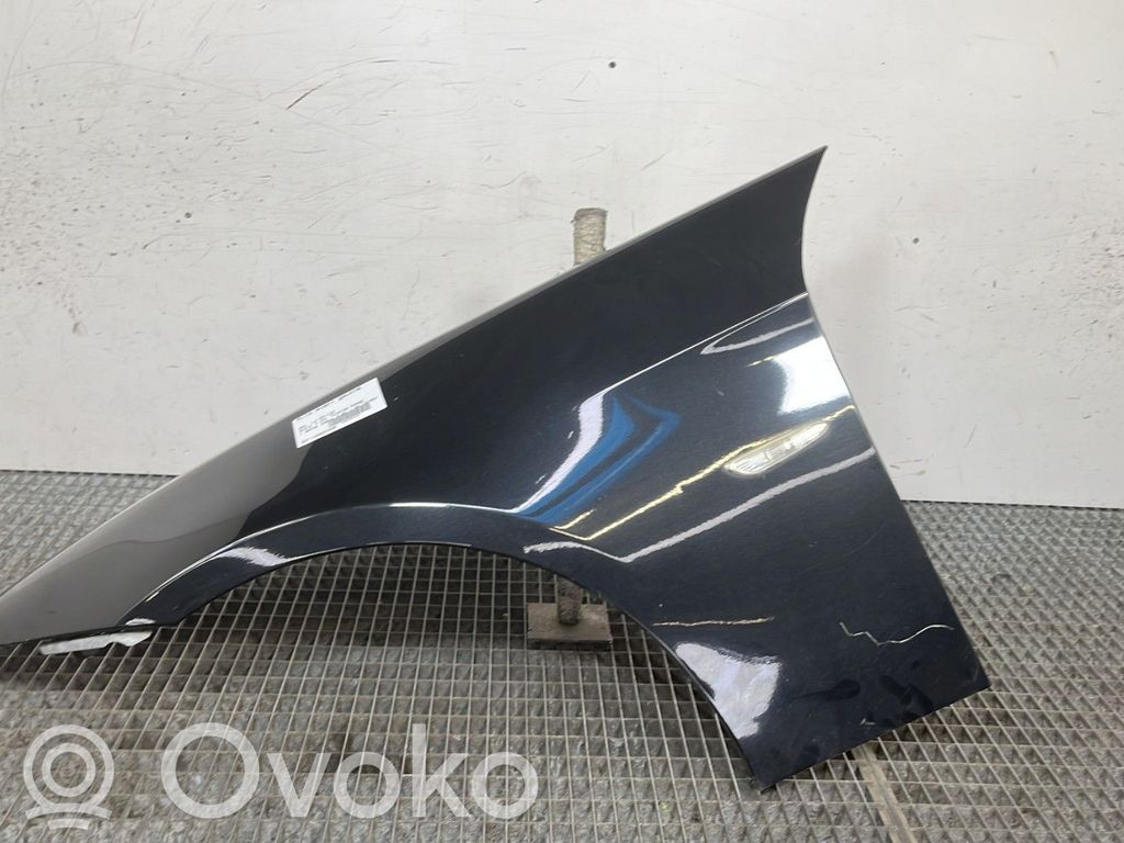 Fender   41357135679