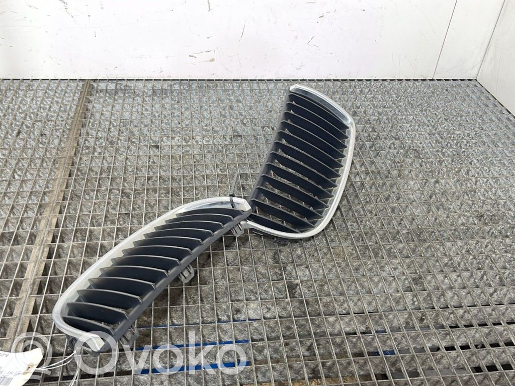 Rejilla delantera   51137120008