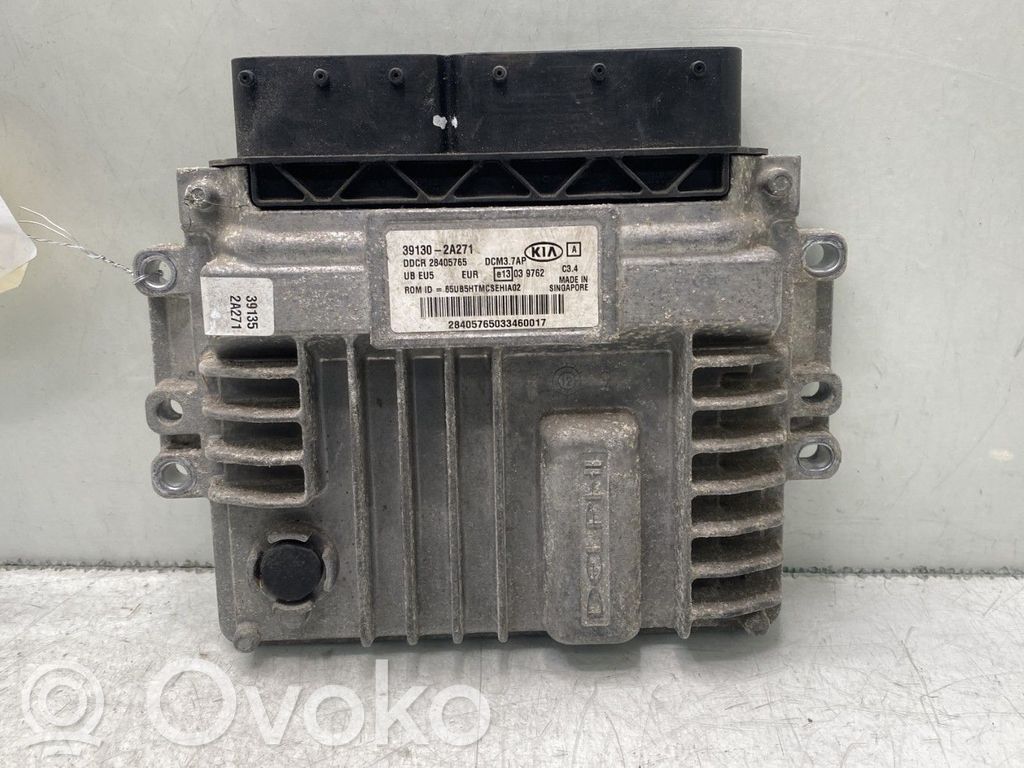 Engine control unit/module   391302A271