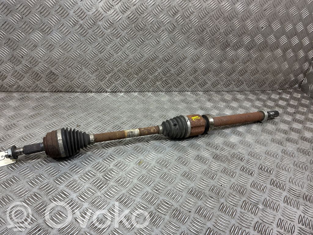 Semiasse anteriore   391001267R