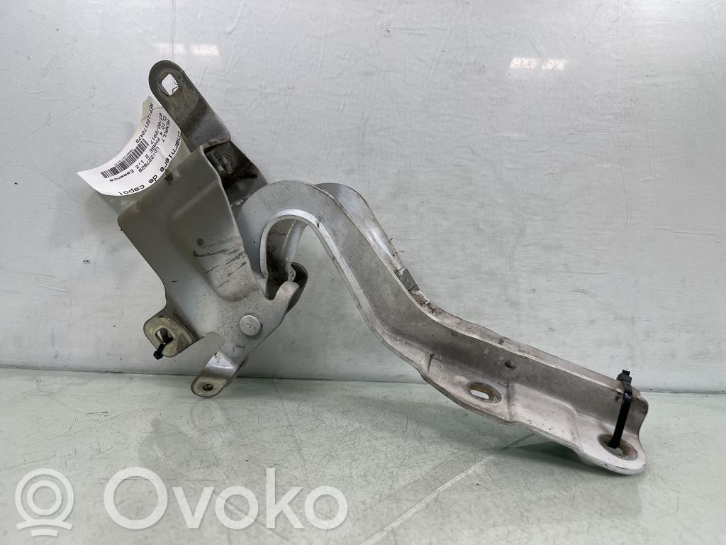 Renault Clio IV Balamale capotă 
