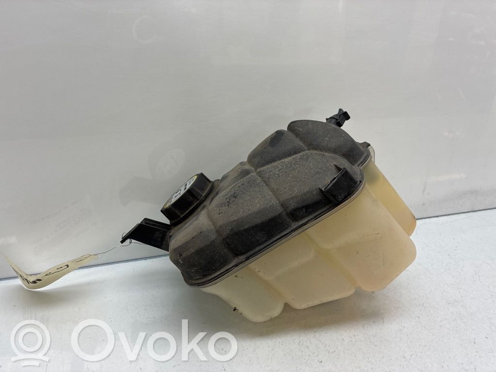Ford Mondeo MK IV Bușon vas expansiune