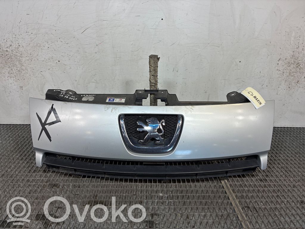 Peugeot Expert Etusäleikkö 