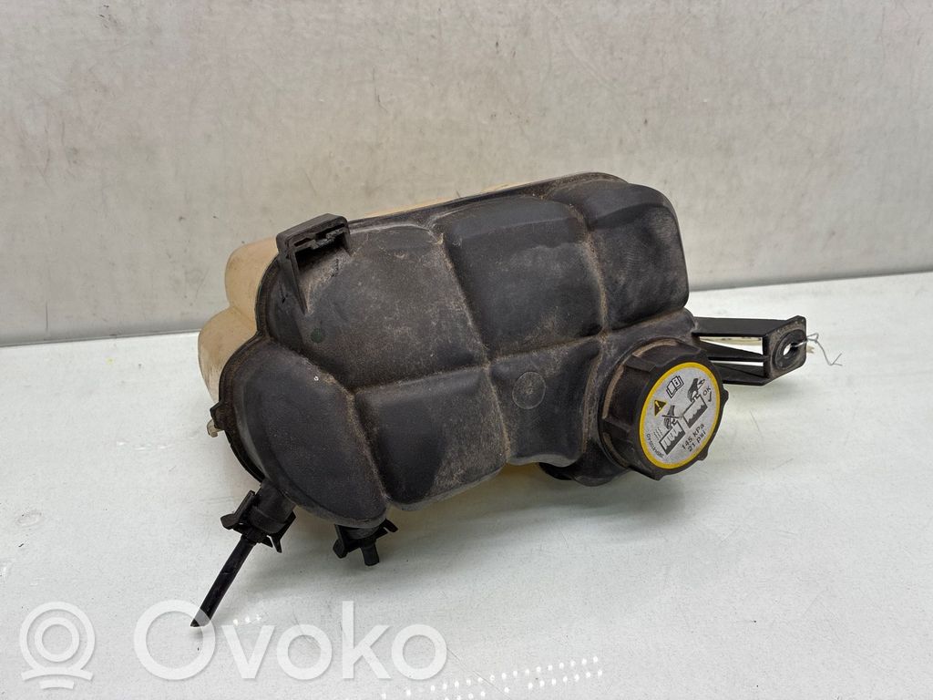 Ford Mondeo MK IV Bușon vas expansiune