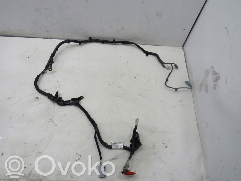 Citroen C4 Grand Picasso Plusa vads (akumulatora) 
