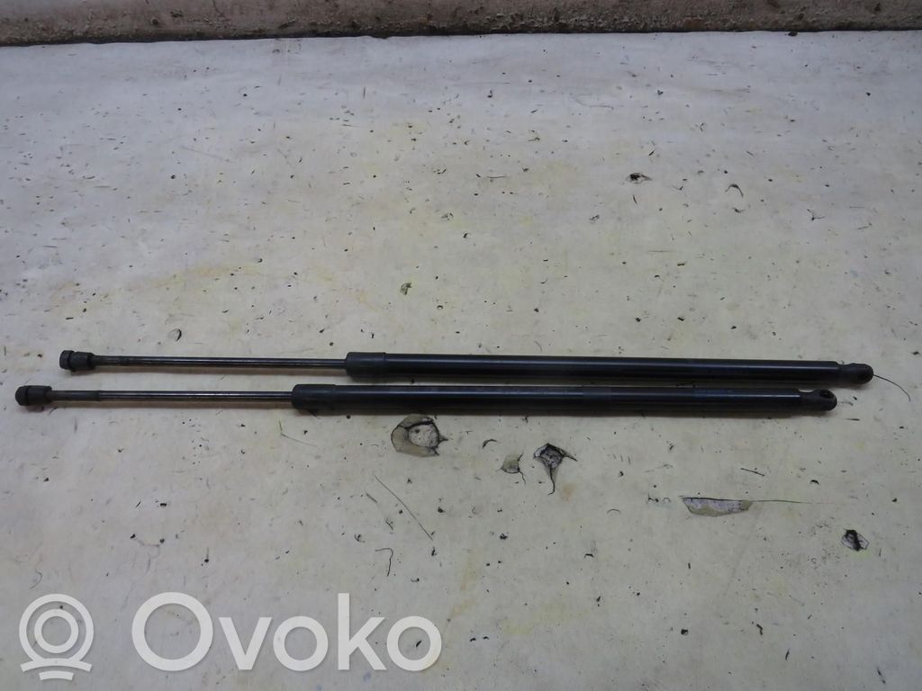 Ford Kuga II Tailgate strut 