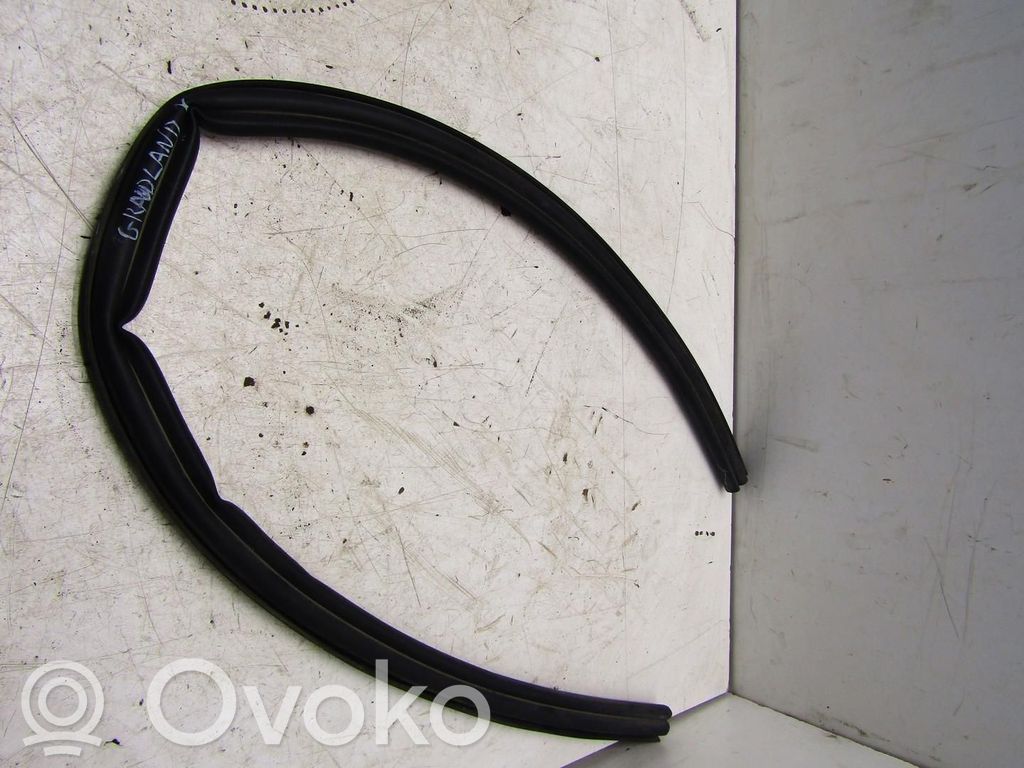 Opel Grandland X Guma sandarinimo (ant priekinių durų) 