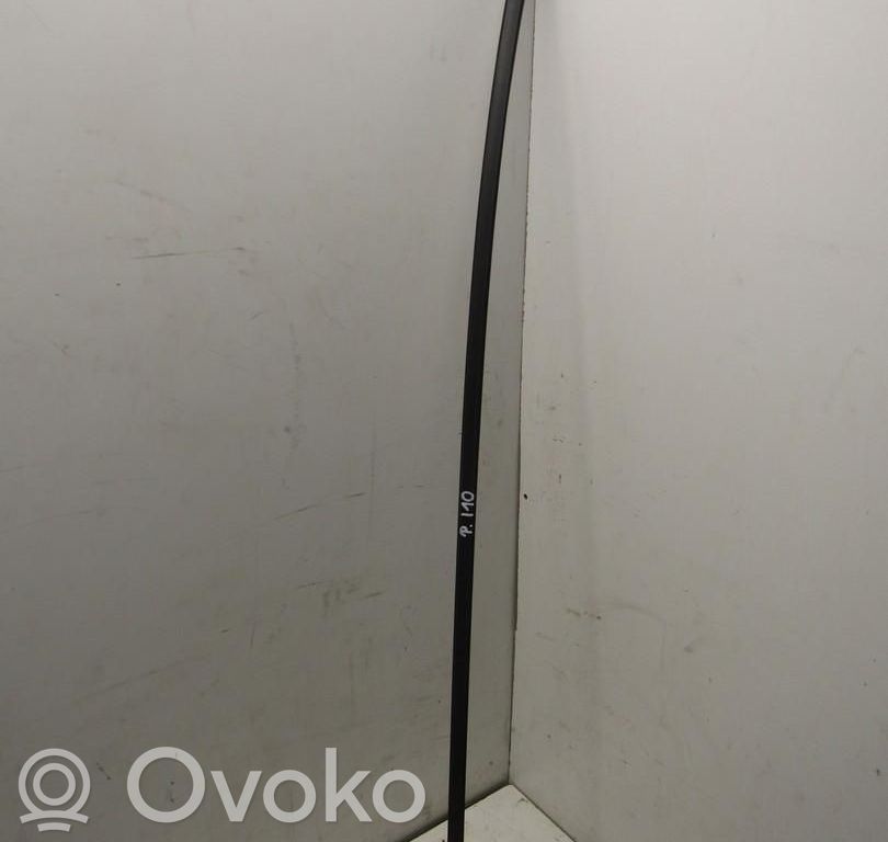 Hyundai i10 Dachzierleiste 