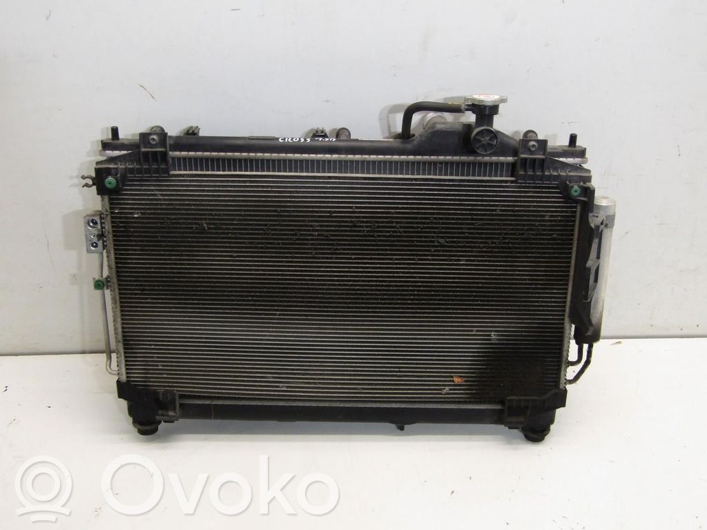 Radiator set   190524,190524