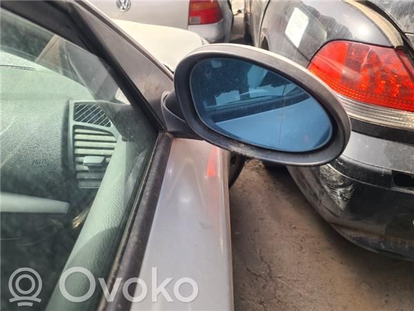 Front door electric wing mirror