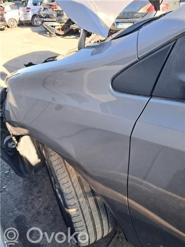Guardabarro   5381202340,5381202340