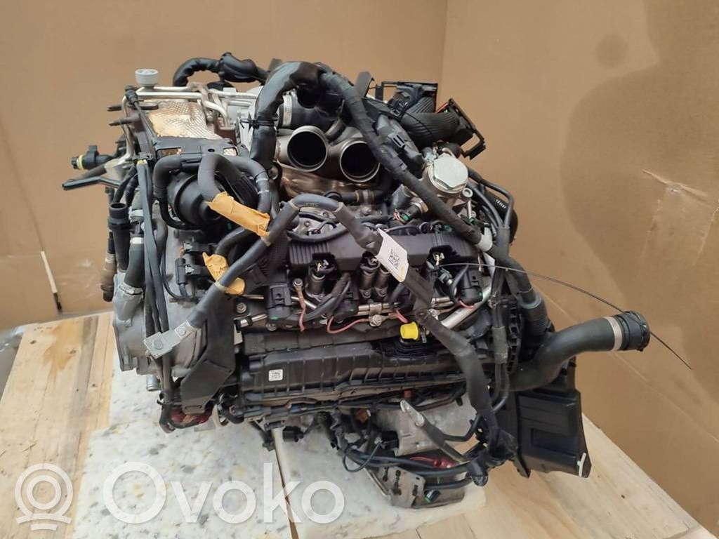 Motor   CTGF