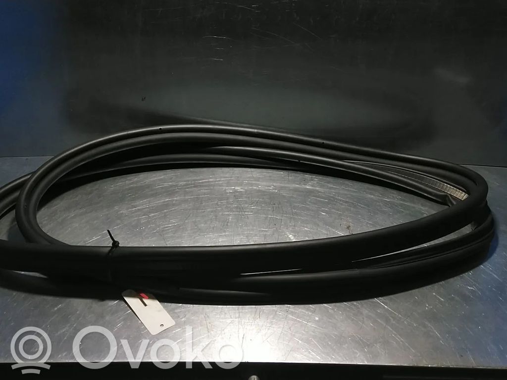 Trunk rubber seal (body)