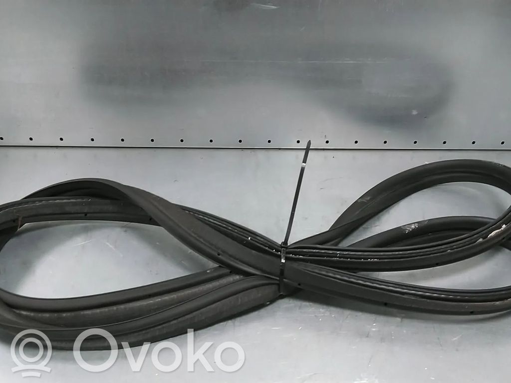 Bagažinės sandarinimo guma (ant kėbulo)