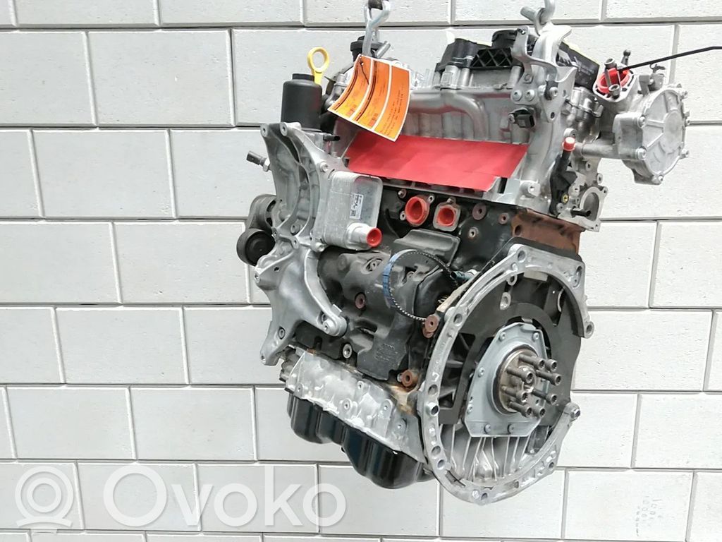Volkswagen Golf VIII Variklis 