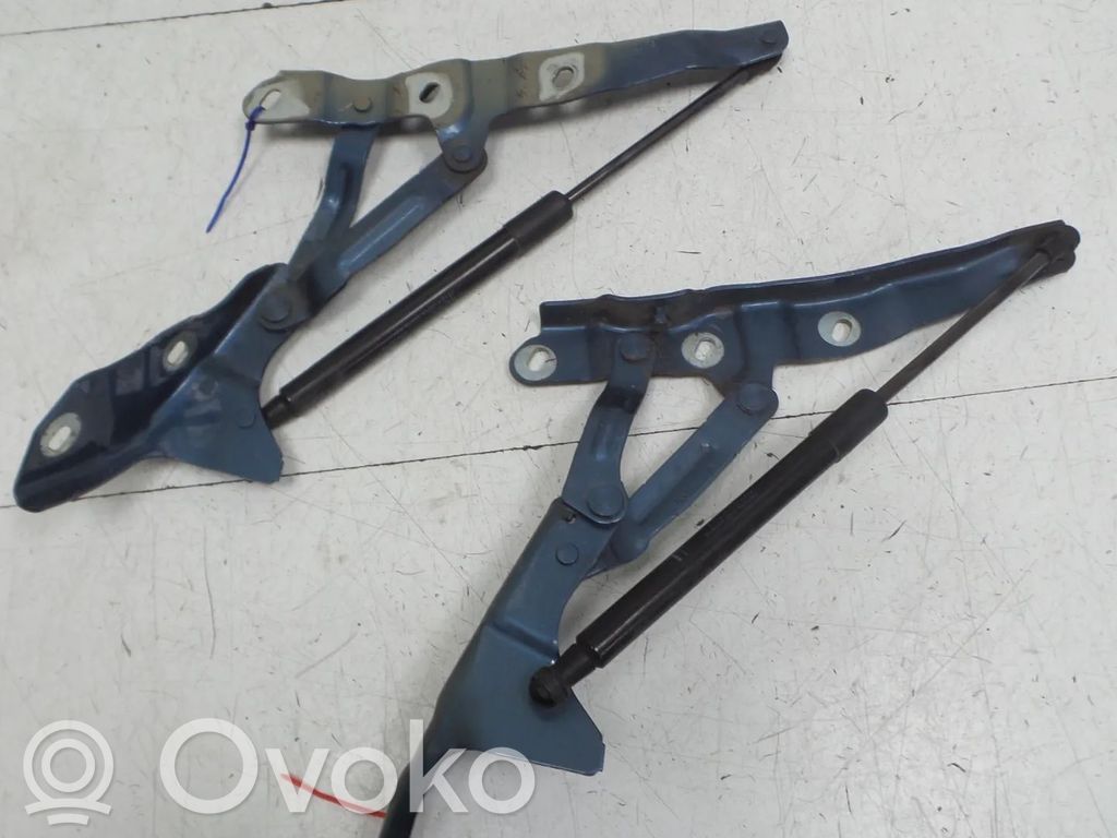 Opel Cascada Engine bonnet/hood hinges 