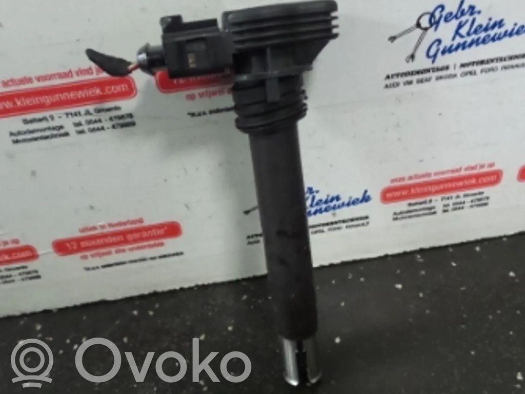 Volkswagen Tiguan Augstsprieguma spole (aizdedzei) 