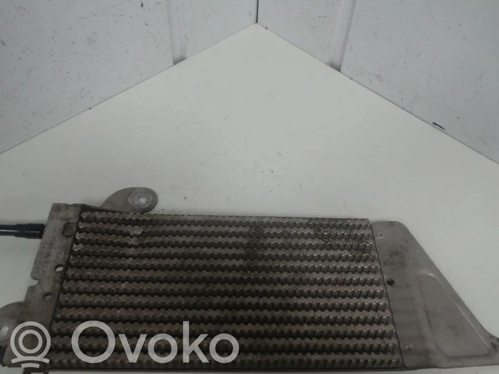 Ford Galaxy Degvielas dzesētājs (radiators) 