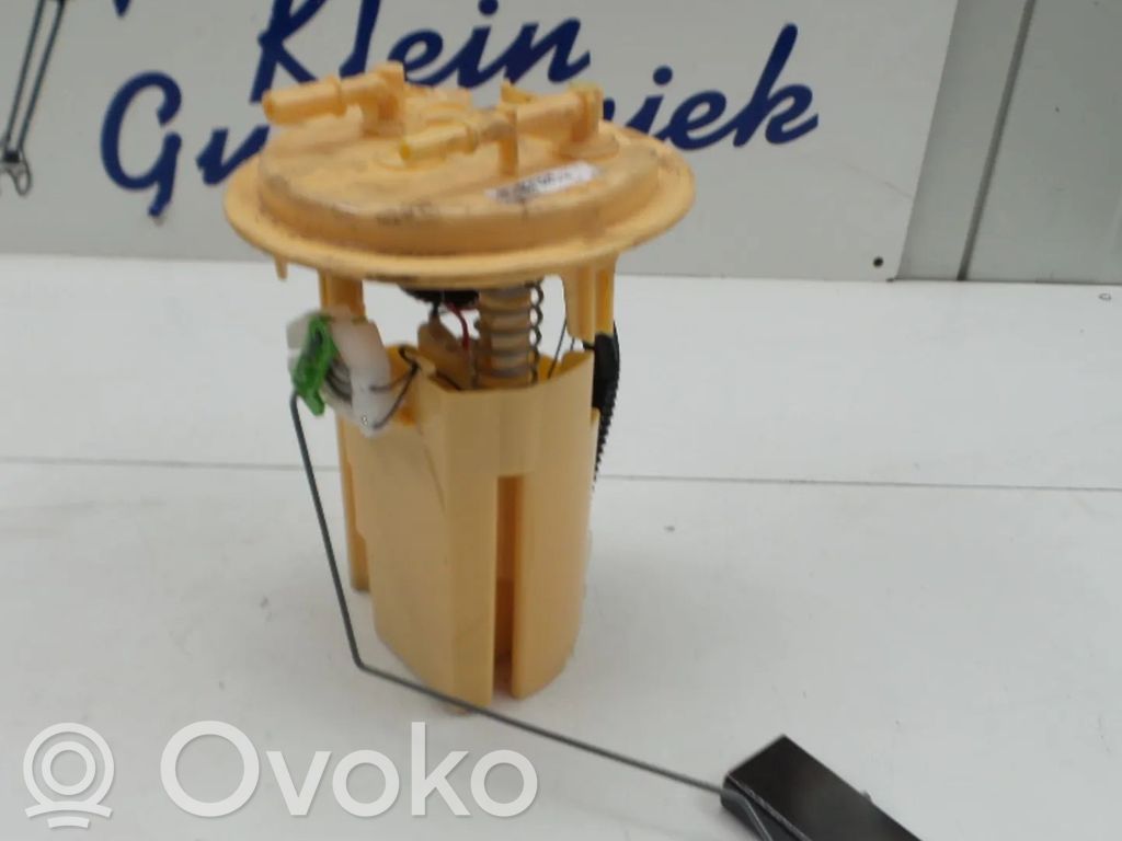Citroen C5 In-tank fuel pump 