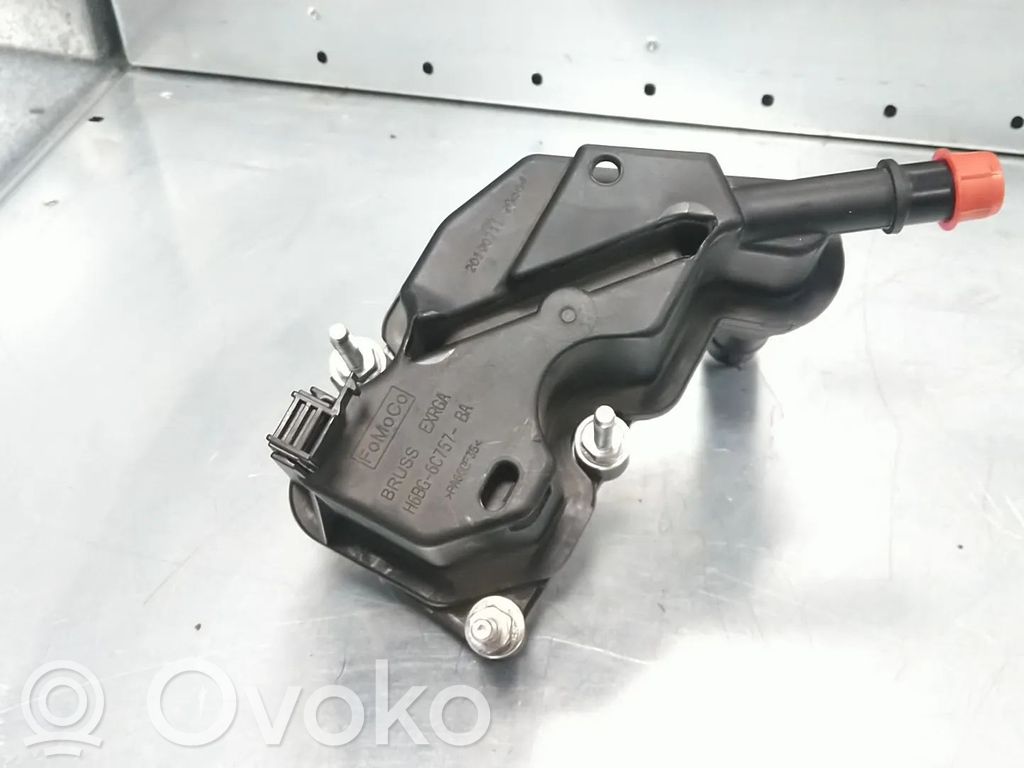 Ford Focus Breather/breather pipe/hose 
