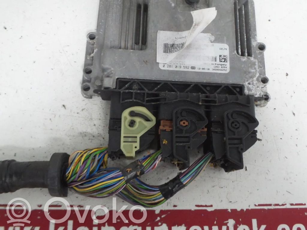 Ford Focus Engine control unit/module 
