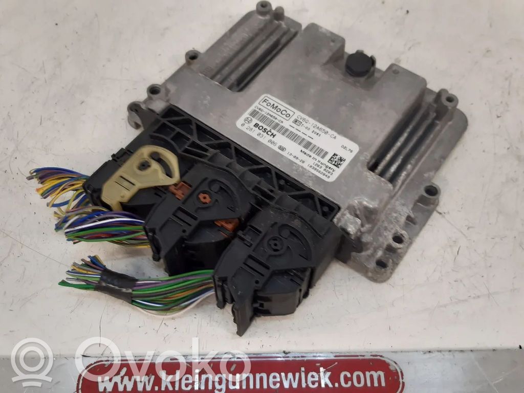 Ford Focus Engine control unit/module 