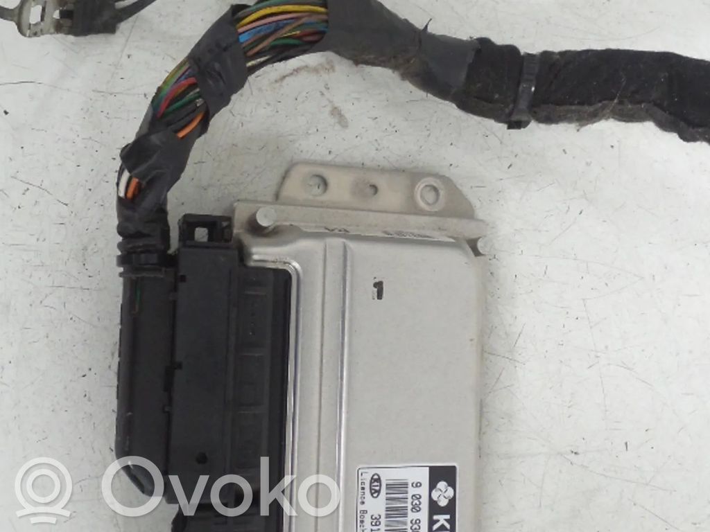 Engine control unit/module   3911002015,G4HE