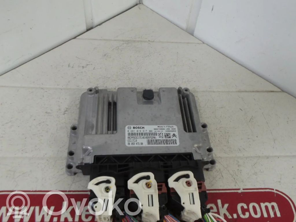 Engine control unit/module   0281019817,9805947380,9HN