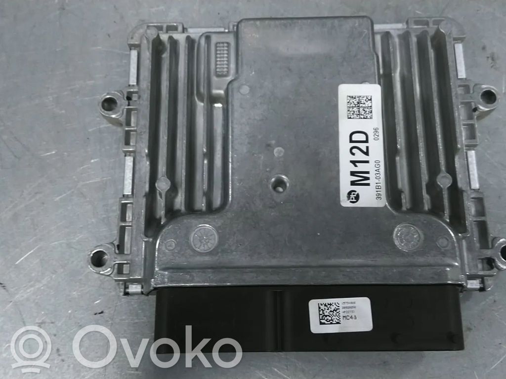 Engine control unit/module   391B103AG0,G4LE