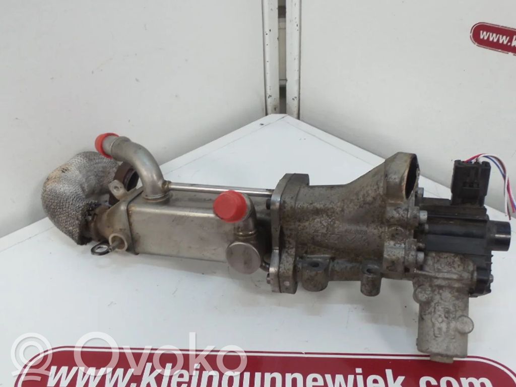 Citroen C5 EGR valve 