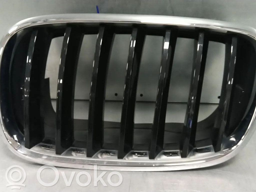BMW X5 E70 Front bumper upper radiator grill 