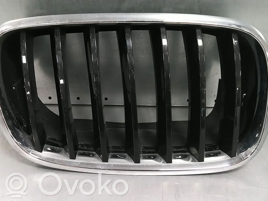 BMW X5 E70 Front bumper upper radiator grill 