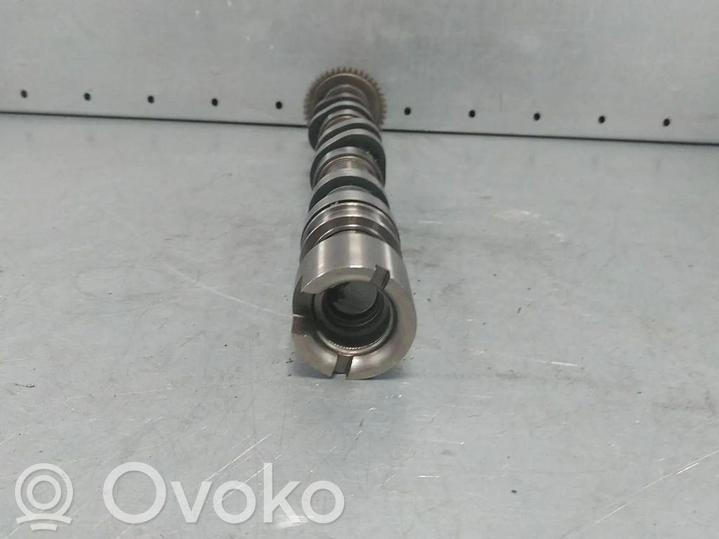 Sadales vārpsta   059102CC,059109022BE,ASB,BKN,BKS,BMK,BNG,BPP,BSG,BUG,BUN,CAMA,CAMB,CAN,CANA,CANB,CANC,CAND,CAPA,CARA,CASB,CASC,CASD,CATA,CCL,CCLA,CCM,CCMA,CCW,CCWA,CCWB,CDY,CDYA,CDYB,CDYC,CEX,CEXA,CEXB,CGK,CGKA,CGKB