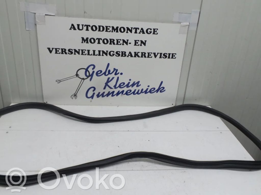 Citroen DS3 Front door rubber seal 