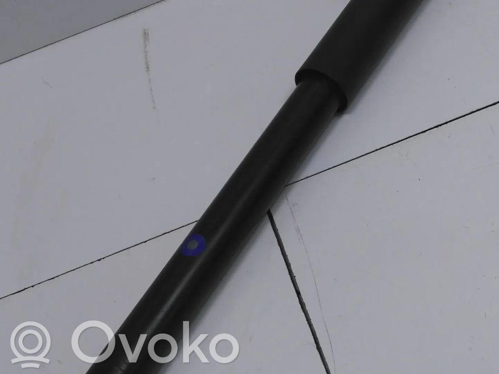 Dacia Duster II Rear shock absorber/damper 