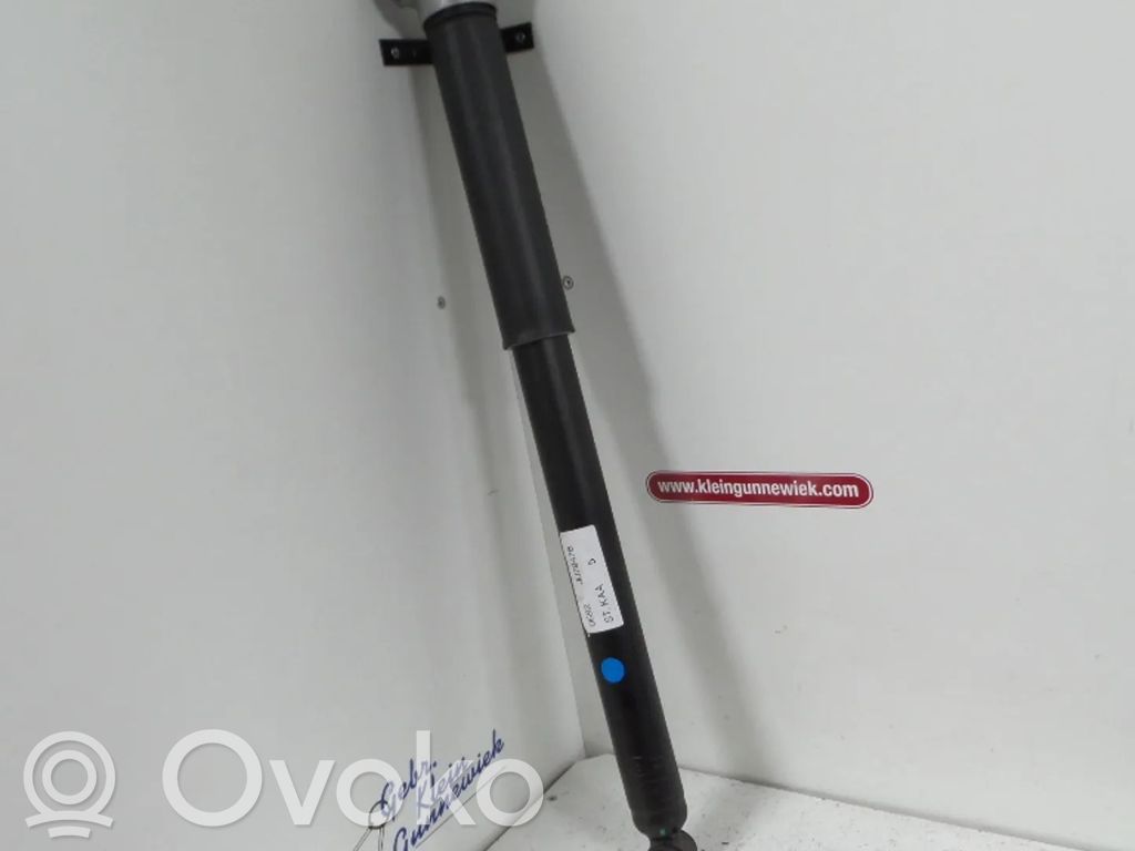 Ford C-MAX II Amortyzator tylny 