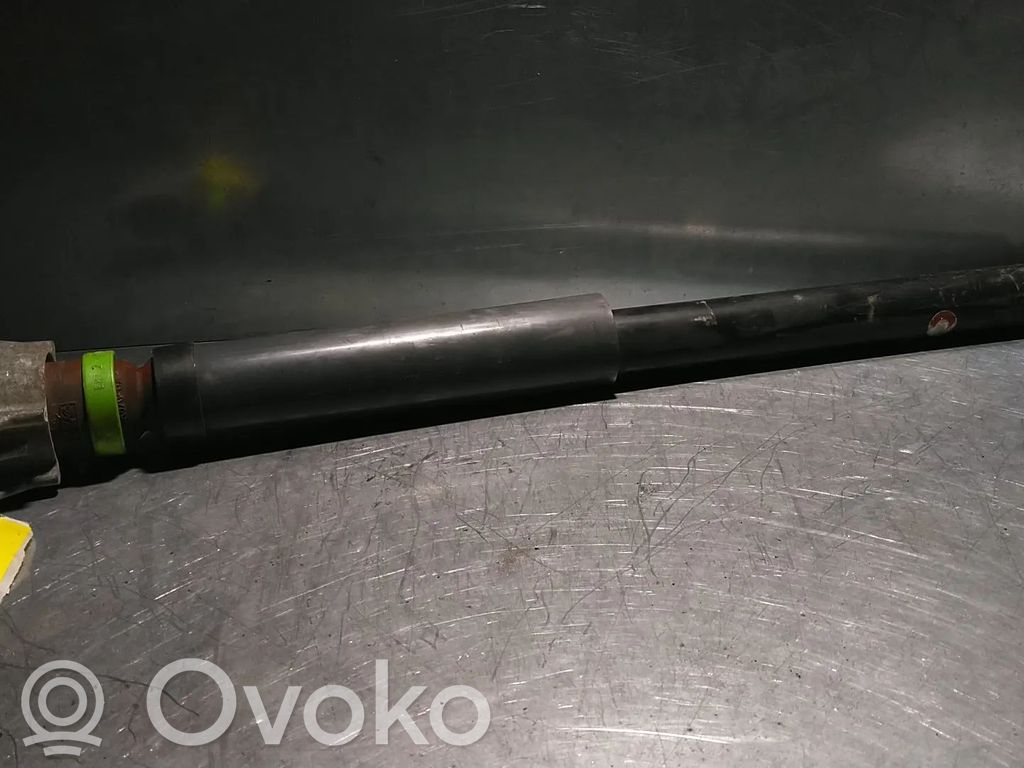 Stoßdämpfer hinten