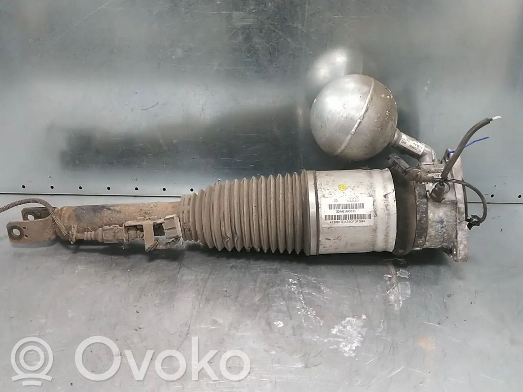 Volkswagen Phaeton Amortizor spate 