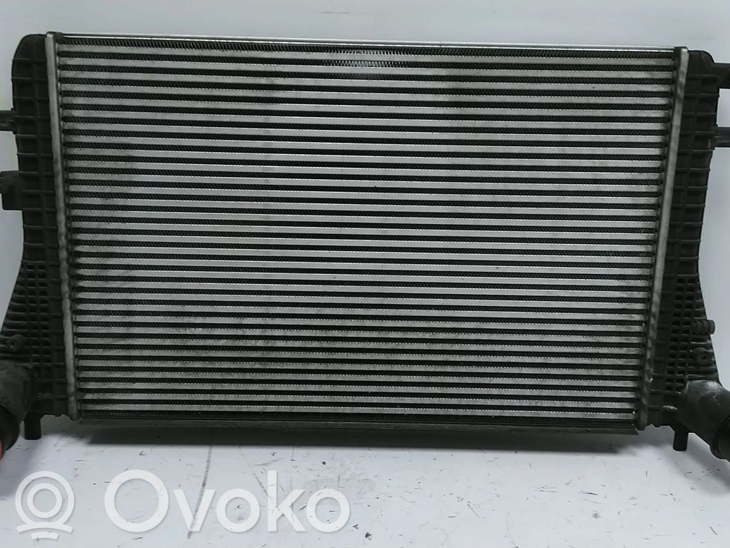 Volkswagen PASSAT B7 Interkūlerio radiatorius 