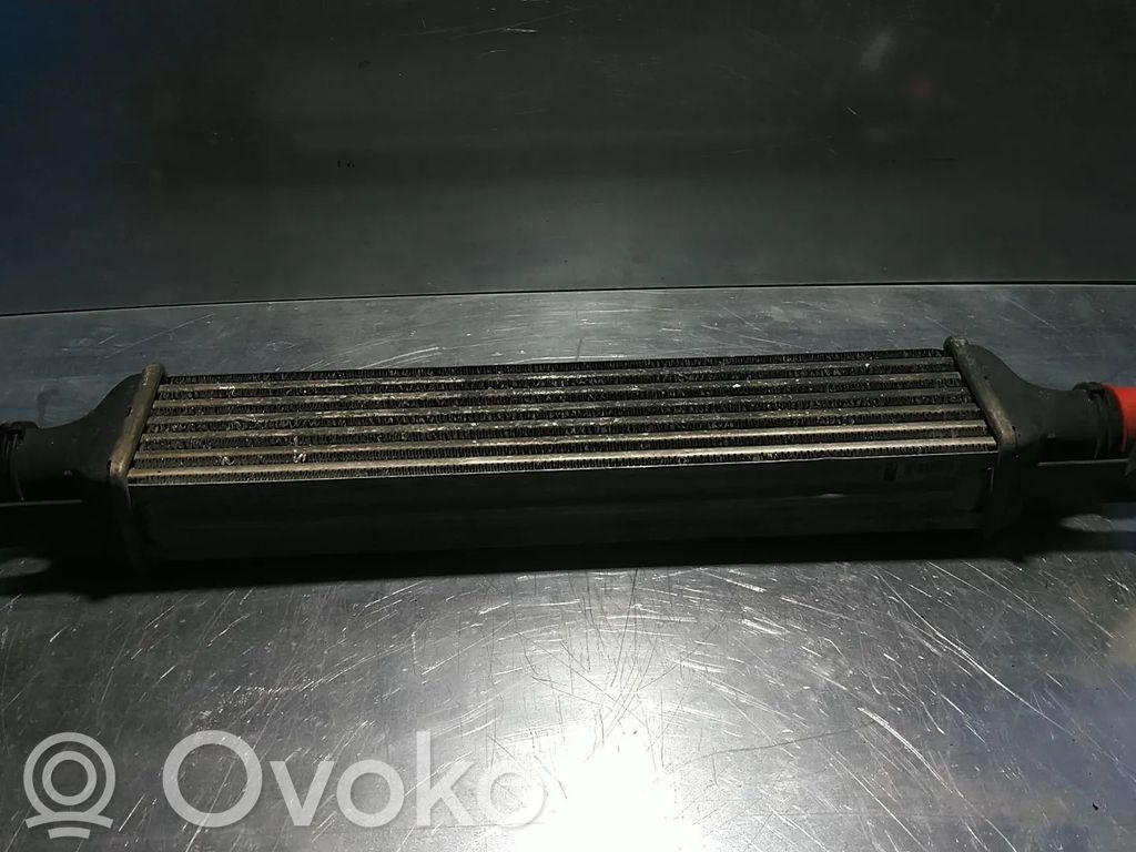 Radiador intercooler   55702004