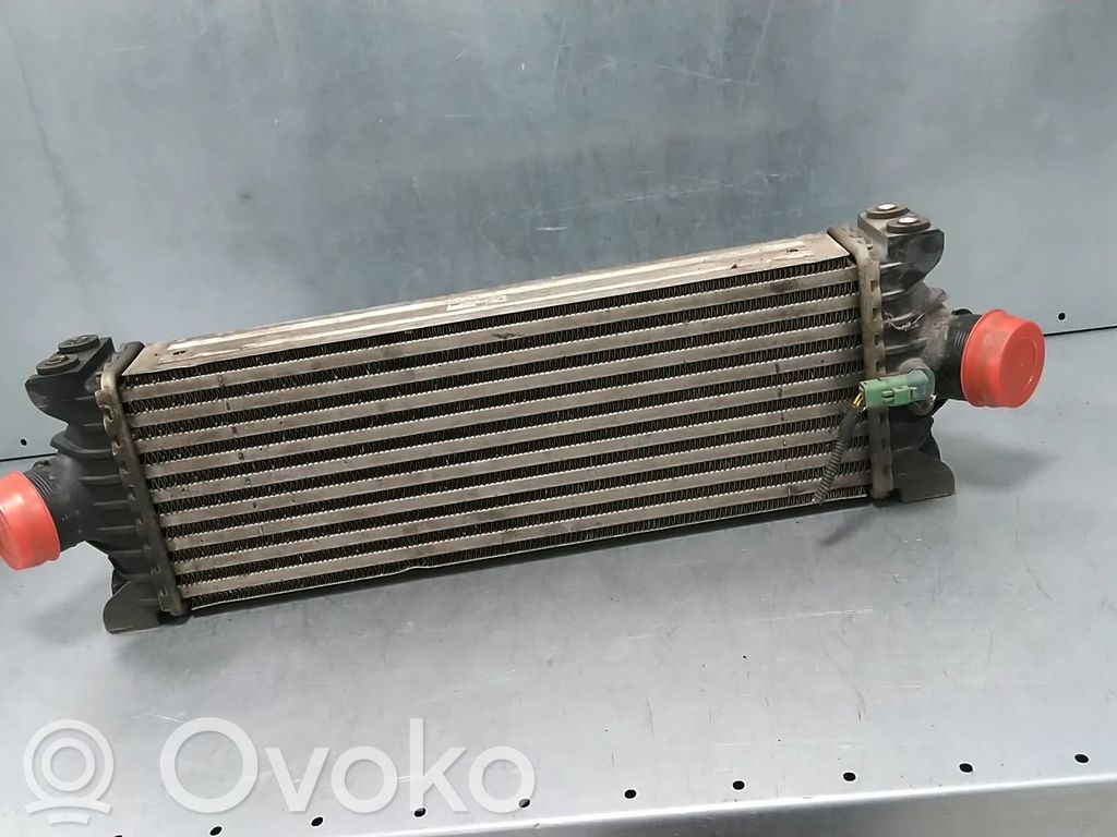 Interkūlerio radiatorius   CC119L440AF,1748579,1748585,1771034,1771038,1823031,1881207,1881209,CC119L440AC,CC119L440AD,CC119L440AE,CC119L440BC,CC119L440BD,CC119L440BE,CC119L440BF