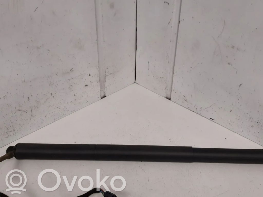 Audi Q2 - Tailgate/trunk strut/damper 