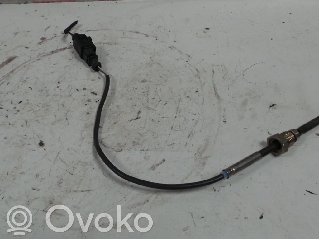 Seat Exeo (3R) Sensore 