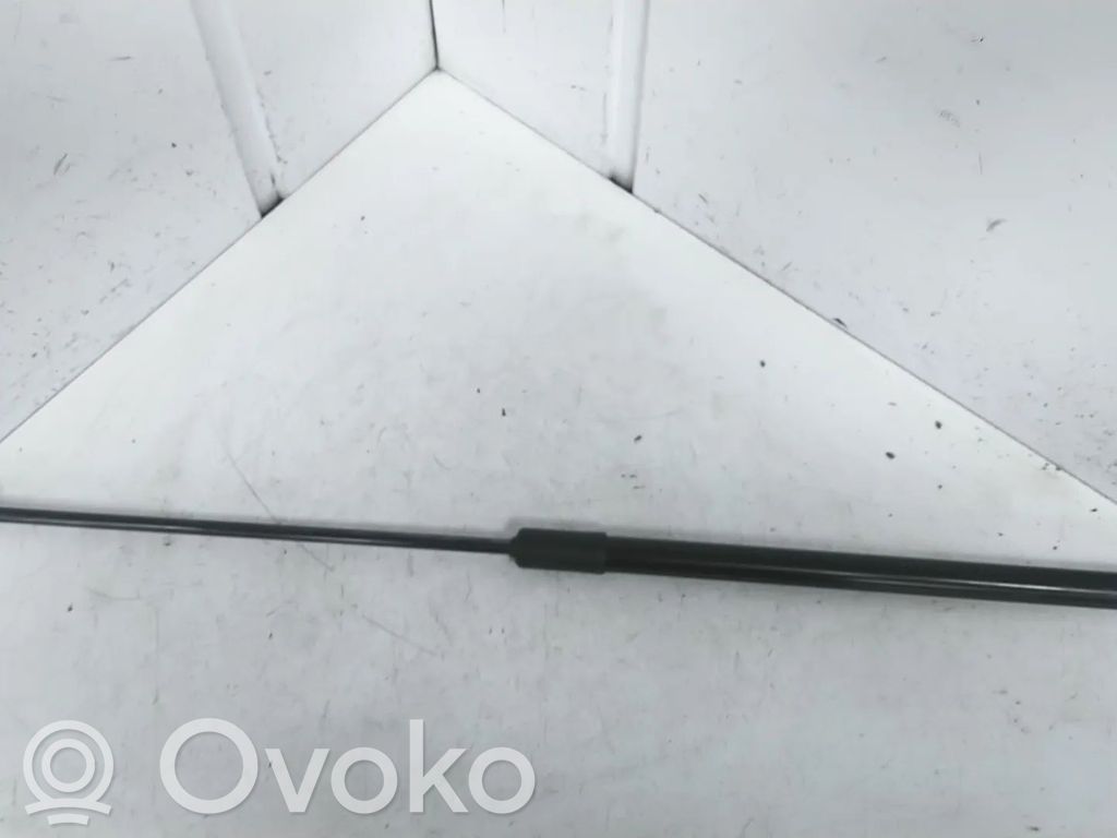 Audi e-tron Ammortizzatore portellone anteriore/cofano 