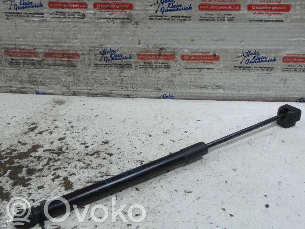 Opel Zafira C Ammortizzatore portellone anteriore/cofano 