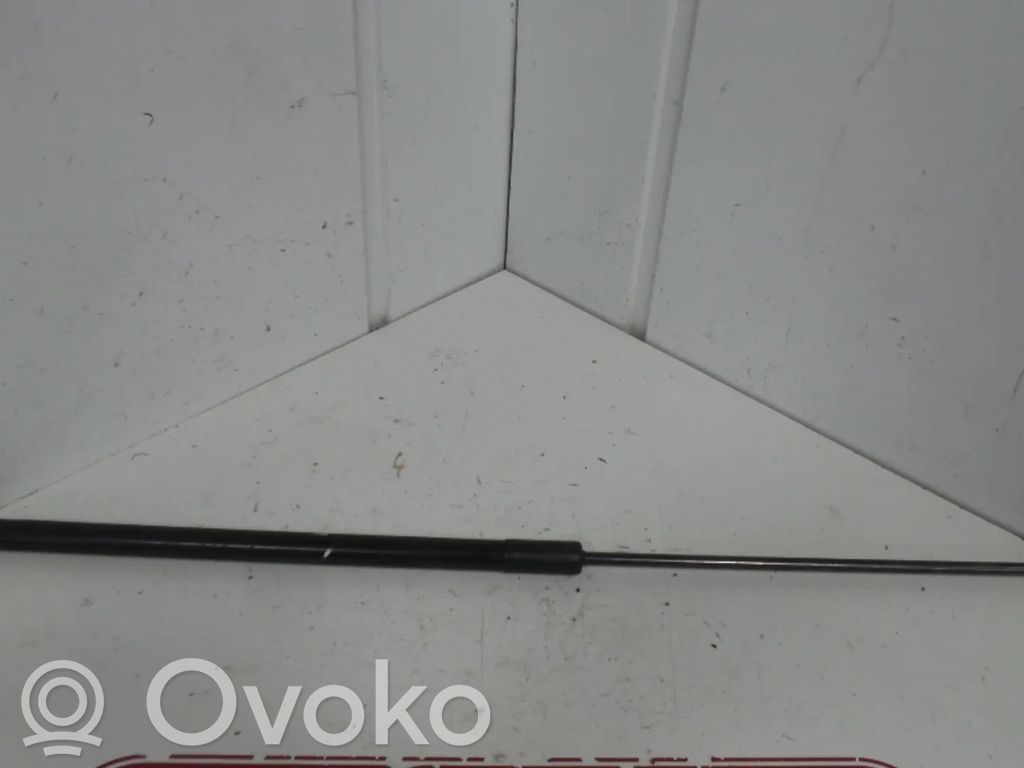 Volkswagen Touareg II Amortizor capotă motor 