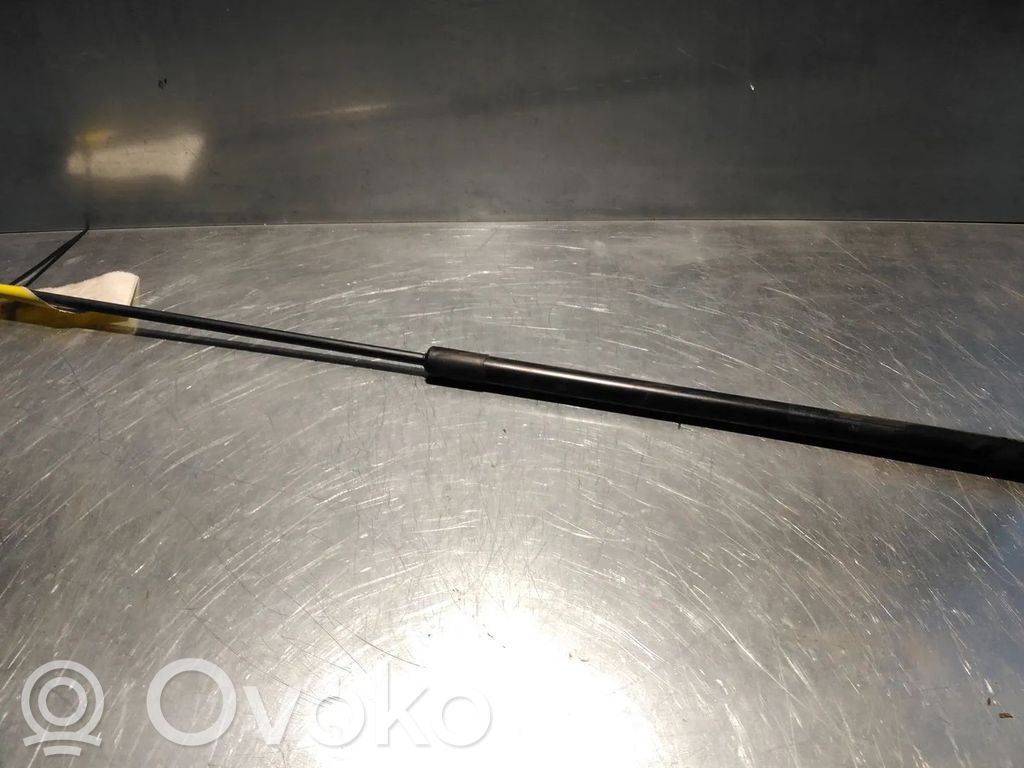 Volkswagen PASSAT B6 Ammortizzatore portellone anteriore/cofano